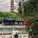 江心屿景区南码头 - 温州市旅游 缩略图 1
