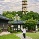 江心屿景区南码头 - 温州市旅游 缩略图 2