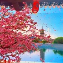 蜀冈瘦西湖风景名胜区 - 扬州市旅游 缩略图 5