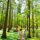 蜀冈瘦西湖风景名胜区 - 扬州市旅游 缩略图 2