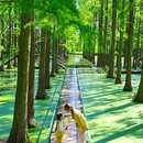 蜀冈瘦西湖风景名胜区 - 扬州市旅游 缩略图 6