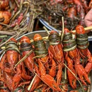 梦姐龙虾·烧烤海鲜大排档(五角场店) - 上海市旅游 缩略图 7