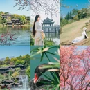 重庆园博园 - 重庆市旅游 缩略图 1