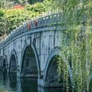重庆园博园 - 重庆市旅游 缩略图 8