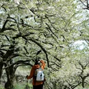 石玖社民宿小院 - 成都市旅游 缩略图 8