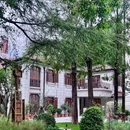 SILEX打火石餐厅(之禾卡纷花园店) - 上海市旅游 缩略图 6
