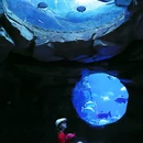 郑州银基冰雪世界 - 郑州市旅游 缩略图 5