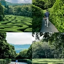 东莞旗峰公园 - 东莞市旅游 缩略图 8