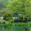 太子湾公园 - 杭州市旅游 缩略图 1
