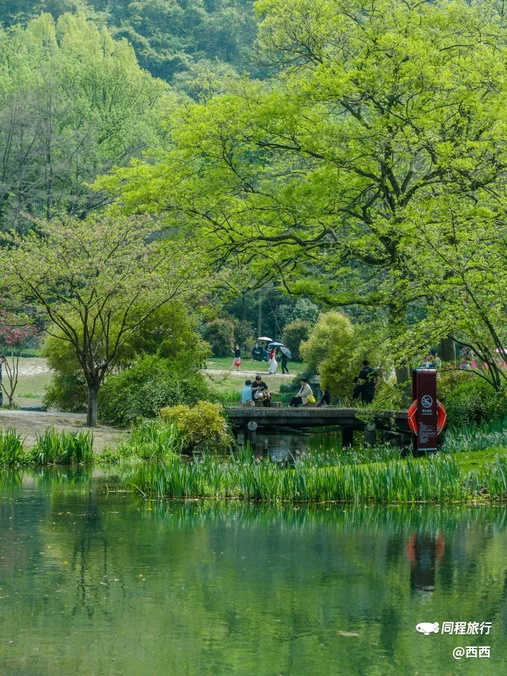 太子湾公园 - 杭州市旅游