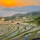 云和梯田景区 - 丽水市旅游 缩略图 2