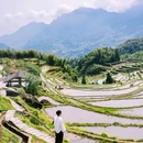 云和梯田景区 - 丽水市旅游 缩略图 3