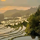 云和梯田景区 - 丽水市旅游 缩略图 6