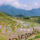 云和梯田景区 - 丽水市旅游 缩略图 8