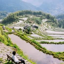 云和梯田景区 - 丽水市旅游 缩略图 7