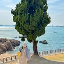 小麦岛 - 青岛市旅游 缩略图 4