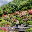 下渚湖国家湿地公园 - 湖州市旅游 缩略图 5