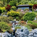 下渚湖国家湿地公园 - 湖州市旅游 缩略图 6