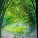 川西竹海景区 - 成都市旅游 缩略图 2