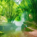 川西竹海景区 - 成都市旅游 缩略图 1