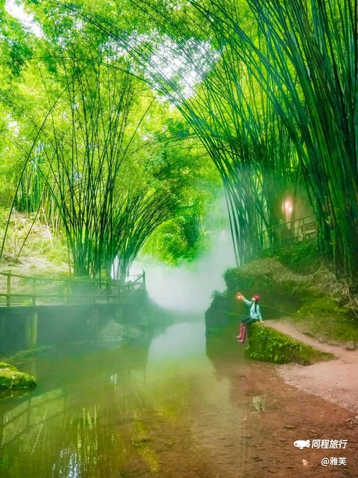 川西竹海景区 - 成都市旅游