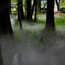 武汉东湖落雁景区 - 武汉市旅游 缩略图 4