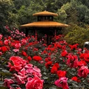 武汉东湖落雁景区 - 武汉市旅游 缩略图 3
