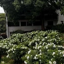 武汉东湖落雁景区 - 武汉市旅游 缩略图 7