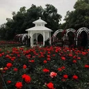 武汉东湖落雁景区 - 武汉市旅游 缩略图 9