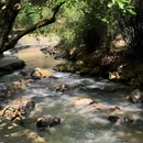 七溪地·檀香亭 - 广州旅游 缩略图 8