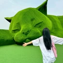 肥猫岛 - 淮安市旅游 缩略图 4