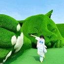 肥猫岛 - 淮安市旅游 缩略图 6