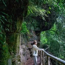 川西竹海景区 - 成都市旅游 缩略图 1