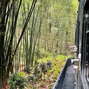 川西竹海景区 - 成都市旅游 缩略图 5
