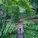 川西竹海景区 - 成都市旅游 缩略图 2
