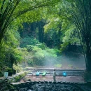 川西竹海景区 - 成都市旅游 缩略图 6