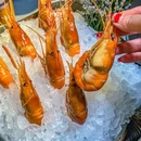 金龙·打边炉(南京西路店) - 上海市旅游 缩略图 8