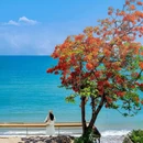 天涯小镇 - 三亚市旅游 缩略图 4