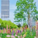 望江西路与长宁大道交叉口 - 合肥市旅游 缩略图 1