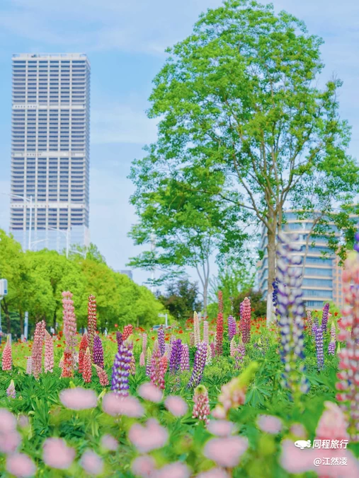 望江西路与长宁大道交叉口 - 合肥市旅游