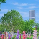 望江西路与长宁大道交叉口 - 合肥市旅游 缩略图 3