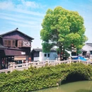 安昌古镇 - 绍兴市旅游 缩略图 1