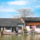 安昌古镇 - 绍兴市旅游 缩略图 5