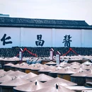 安昌古镇 - 绍兴市旅游 缩略图 9