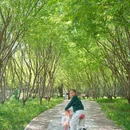 东小口城市休闲公园-北门 - 北京市旅游 缩略图 4