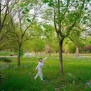 东小口城市休闲公园-北门 - 北京市旅游 缩略图 1