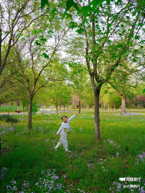 东小口城市休闲公园-北门 - 北京市旅游