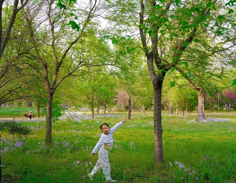 东小口城市休闲公园-北门 - 北京市旅游 1