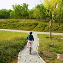 东小口城市休闲公园-北门 - 北京市旅游 缩略图 7
