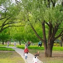 东小口城市休闲公园-北门 - 北京市旅游 缩略图 9